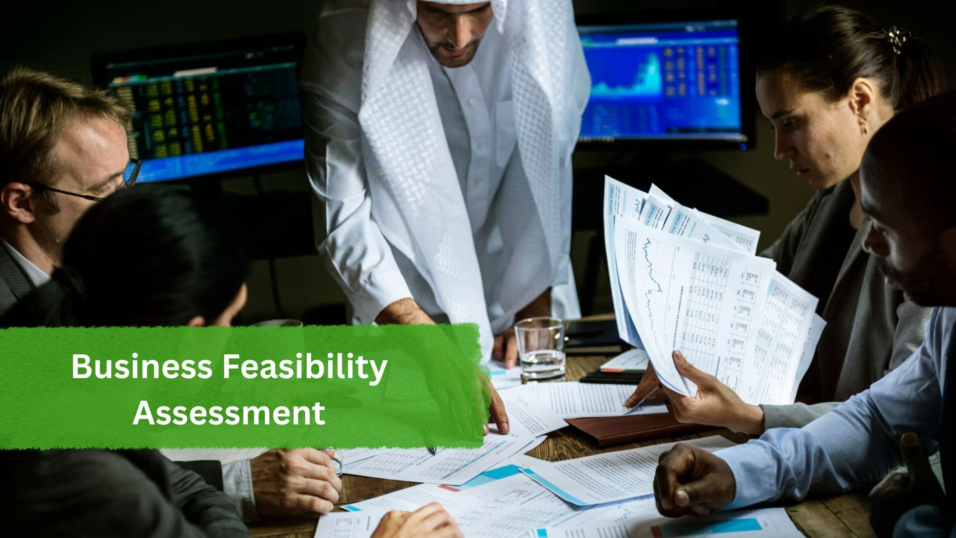 Business Feasibility Assessment